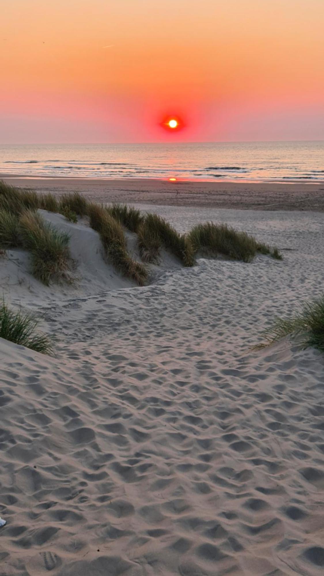 Chardonnay At The Beach Blankenberge Luaran gambar
